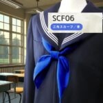 SCF06